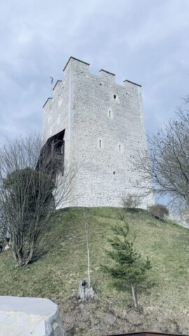 IMG_2340